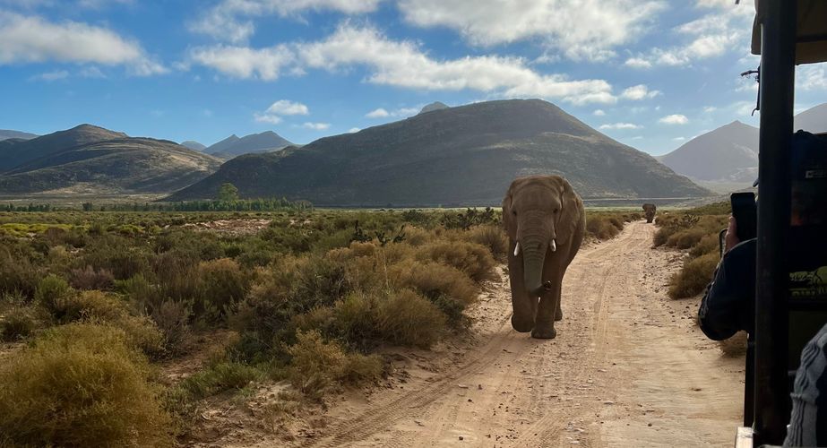 Olifanten National Park Kruger